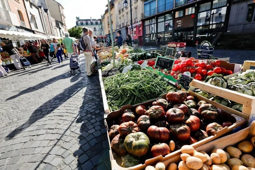 Le Saint - Louis, Proche Jacobin Et Les Lices Apartment Rennes